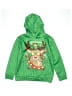 Unbranded Green Pullover Sweater Size 130 cm / US 8 - photo 1