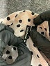 Heart Soul 100% Polyester Polka Dots Ivory 3/4 Sleeve Blouse Size XL - photo 7