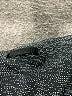 Lululemon Athletica Gray Black Active Pants Size 6 - photo 4
