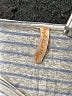 High End Hippie Silver Short Sleeve Top Size S - photo 6