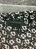 Ann Taylor 100% Polyester Floral Black Cardigan Size S - photo 7