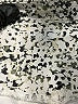 Active by Old Navy Animal Print Ivory Shorts Size XL - photo 3