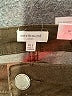 Westbound Brown Jeggings Size L S - photo 7