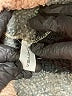 Chicyea Plaid Brown Teal Fleece Size 2X - photo 6