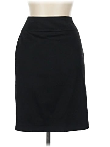 Max Mara Formal Skirt (view 2)