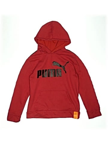 Puma Pullover Hoodie (view 1)