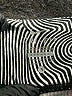 Nike Chevron-herringbone Gray Active Pants Size S - photo 7