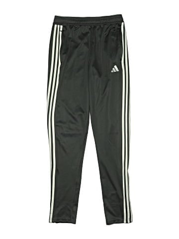Adidas Track Pants (view 1)