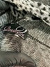 Questions Silver Cardigan Size M - photo 7