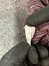 Aerie Purple Active Pants Size M - photo 8