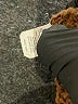 Madewell 100% Cotton Solid Brown Pullover Sweater Size XS - photo 8