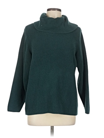 Chadwicks Turtleneck Sweater (view 1)
