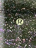 Lululemon Athletica Black Active Pants Size 6 - photo 7