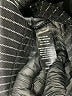 Betabrand Stripes Black Casual Pants Size M - photo 4