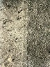 Assorted Brands Chevron-herringbone Gray Jeans Size 4 - photo 7