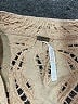 Free People Pink Jacket Size 4 - photo 6