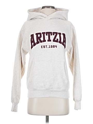 Aritzia Sweatshirt (view 1)