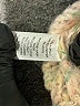 Ruby Moon Tweed Tan Casual Dress Size XS - photo 8