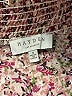 Hayden 100% Polyester Pink Short Sleeve Blouse Size S - photo 7