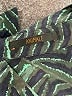 Animale Animal Print Teal Green Long Sleeve Blouse Size EU 40 / US 10 - photo 7