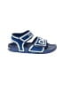 Dolce & Gabbana Blue Sandals Size EU 38 / US 6-6 1/2 (youth) - photo 1