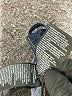 H&M Color Block Blue Jeans Size 4 - photo 9