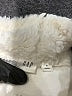 Gap Ivory Turtleneck Sweater Size S - photo 7