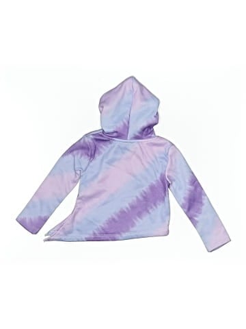 RBX Pullover Hoodie (view 2)