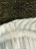 Ann Taylor LOFT Silver Blue Turtleneck Sweater Size S - photo 7