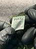 STUDIO BLUE Green Jeggings Size 26 waist - photo 5