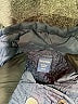Baby Gap Blue Coat Size 2T - photo 3