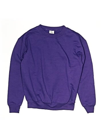 Hanes Pullover Sweater (view 1)