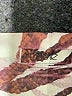 Cache 100% Polyester Animal Print Brown Casual Dress Size S - photo 7