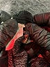 Capulet Floral Black Casual Pants Size S - photo 5