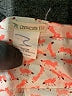 Crewcuts 100% Cotton Print Orange Pink Long Sleeve Blouse Size 14 - photo 3