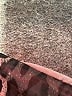 Express Design Studio Gray Formal Skirt Size 2 - photo 5
