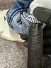 White House Black Market Hearts Blue Jeans Size 0 - photo 7