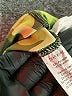 Fierce Pulse Camo Green Active Pants Size XS - photo 8