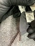 Ann Taylor LOFT Gray Blazer Size 8 - photo 7