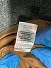 Crosby Solid Brown Casual Pants Size 10 - photo 8