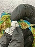 Luz 100% Silk Paisley Green Romper Size 7 - photo 6
