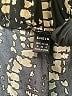 Shein Animal Print Gold Casual Pants Size 4 - photo 7