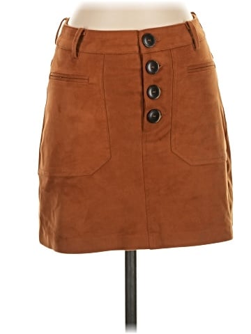 Zara TRF Casual Skirt (view 1)