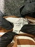 Pomander Place Brown Long Sleeve Top Size XXL - photo 6