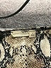 Unbranded Animal Print Tan Cocktail Dress Size L - photo 7