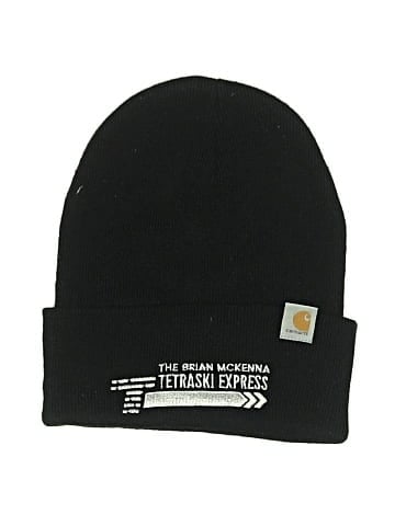 Carhartt Beanie (view 1)