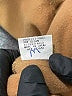 Lexi Drew 100% Polyester Tan Coat Size M - photo 8