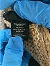 Apostrophe 100% Acrylic Metallic Tan Pullover Sweater Size XS - photo 8