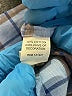 Assorted Brands 100% Cotton Plaid Blue Long Sleeve Button-Down Shirt Size 10 - photo 4