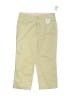 Gap Kids 100% Cotton Yellow Tan Khakis Size 14 - photo 1